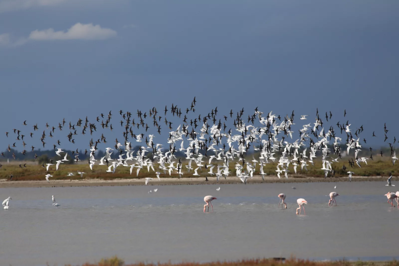 le mas de la grenouillère - photo 5